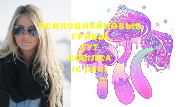 шишки Осинники