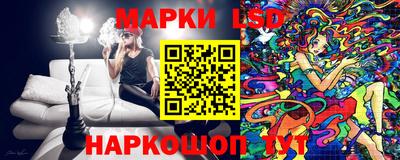 дмт Новодвинск