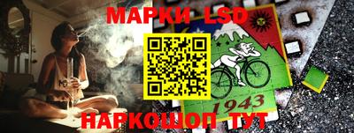 дмт Новодвинск
