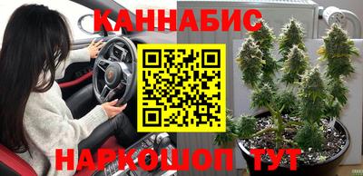 дмт Новодвинск