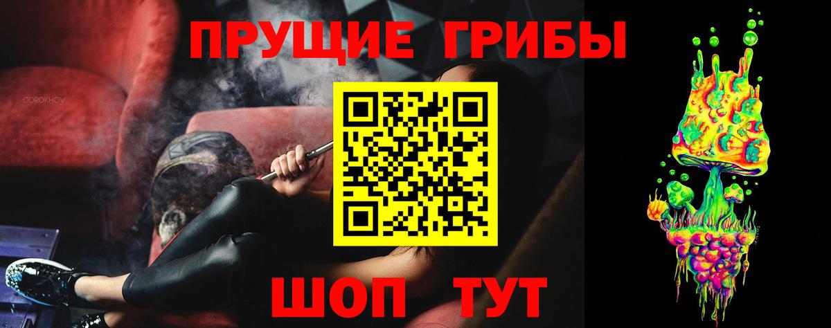 Галлюциногенные грибы Psilocybe  Галлюциногенные грибы мицелий  Вход с VPN  Махачкала 